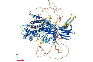 AlphaFold protein structure predicition of Mouse Recombinant Pik3r5 Protein, UniprotID Q5SW28