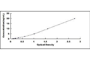 Typical standard curve (CYP2C9 ELISA 试剂盒)