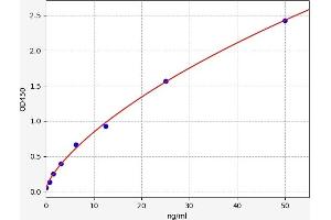 Lectin, Galactoside-Binding, Soluble, 1 (LGALS1) ELISA Kit