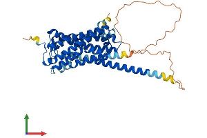 Protein Structure (PS) image for G Protein-Coupled Receptor 84 (GPR84) (AA 1-396) protein (His tag) (ABIN7548180)