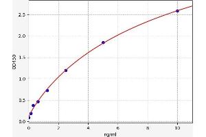 Typical standard curve (NMT1 ELISA 试剂盒)