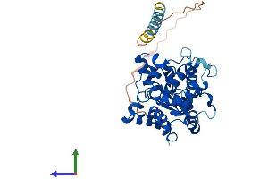 Protein Structure (PS) image for Carbohydrate Sulfotransferase 10 (CHST10) (AA 1-356) protein (His tag) (ABIN7558080)