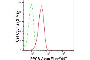 Flow cytometric analysis of PPCS expression in HepG2 cells using PPCS antibody (ABIN7799830), 1:2,000). (Recombinant PPCS 抗体)