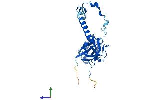 Protein Structure (PS) image for Tubulin Folding Cofactor B (TBCB) (AA 1-244) protein (His tag) (ABIN7560880)