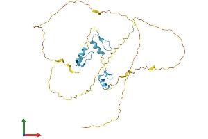 Protein Structure (PS) image for Zinc Finger Protein 414 (ZNF414) (AA 1-312) protein (His tag) (ABIN7545800)