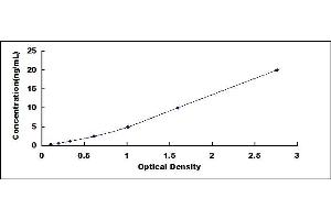 Typical standard curve (Calpain 6 ELISA 试剂盒)