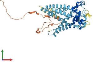 Protein Structure (PS) image for Solute Carrier Family 25, Member 28 (SLC25A28) (AA 1-364) protein (His tag) (ABIN7559649)