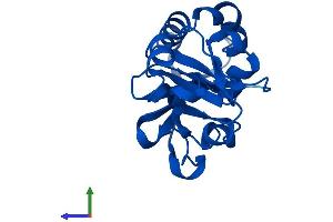 Protein Structure (PS) image for Malignant T Cell Amplified Sequence 1 (MCTS1) (AA 1-181) protein (His tag) (ABIN7565002)