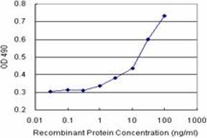 Sandwich ELISA detection sensitivity ranging from 1 ng/mL to 100 ng/mL.
