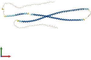 Protein Structure (PS) image for Keratin 80 (KRT80) (AA 1-452) protein (His tag) (ABIN7548727)
