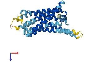 Taste Receptor, Type 2, Member 104 (TAS2R104) (AA 1-302) protein (His tag)