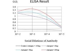 Black line: Control Antigen (100 ng),Purple line: Antigen (10 ng), Blue line: Antigen (50 ng), Red line:Antigen (100 ng) (Cyclin E1 抗体  (AA 1-100))