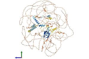 Protein Structure (PS) image for Ataxin 2 (ATXN2) (AA 1-1313) protein (His tag) (ABIN7552589)