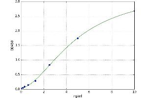 A typical standard curve
