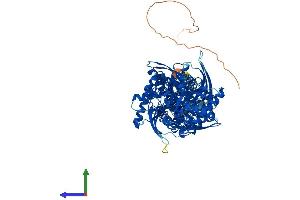 AlphaFold protein structure predicition of Mouse Recombinant Hk1 Protein, UniprotID P17710