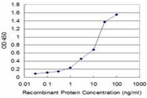 Detection limit for recombinant GST tagged GSTO1 is approximately 0. (GSTO1 抗体  (AA 121-209))