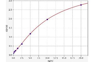 Typical standard curve (NFkB ELISA 试剂盒)