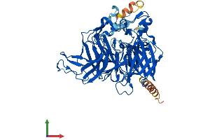 Protein Structure (PS) image for beta-Carotene 15,15'-Monooxygenase 1 (BCMO1) (AA 1-547) protein (His tag) (ABIN7552609)