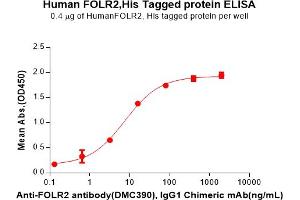 ELISA plate pre-coated by 4 μg/mL (100 μL/well) Human F Protein, His Tag(ABIN7092810, ABIN7272132 and ABIN7272133) can bind Anti-F antibody, IgG1 Chimeric mAb in a linear range of 0.