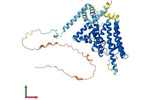Protein Structure (PS) image for Diacylglycerol O-Acyltransferase 1 (DGAT1) (AA 1-488) protein (His tag) (ABIN7553654)