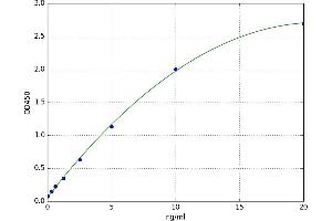A typical standard curve (PHF1 ELISA 试剂盒)