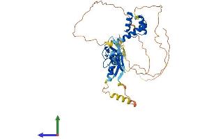 Protein Structure (PS) image for LIM Homeobox 2 (LHX2) (AA 1-406) protein (His tag) (ABIN7549099)