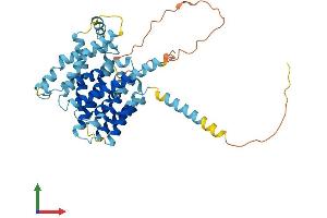 Protein Structure (PS) image for Solute Carrier Family 35, Member F3 (SLC35F3) (AA 1-421) protein (His tag) (ABIN7556997)
