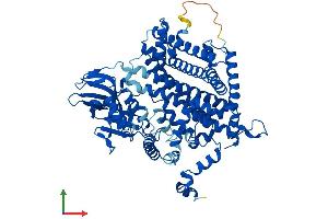 AlphaFold protein structure predicition of Human Recombinant ACOX1 Protein, UniprotID Q15067
