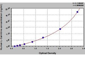 Typical Standard Curve (L-Carnitine ELISA 试剂盒)