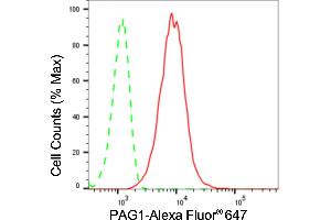 Flow cytometric analysis of PAG1 expression in HT- cells using PAG1 antibody (ABIN7799831), 1:2,000). (Recombinant PAG1 抗体)
