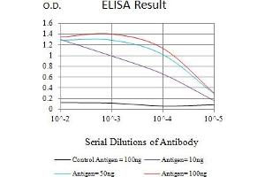 Black line: Control Antigen (100 ng),Purple line: Antigen (10 ng), Blue line: Antigen (50 ng), Red line:Antigen (100 ng) (Caldesmon 抗体  (AA 26-207))