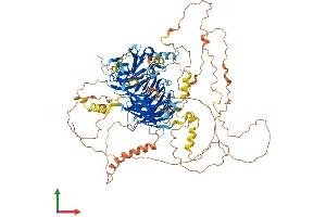 Protein Structure (PS) image for Breast Carcinoma Amplified Sequence 3 (BCAS3) (AA 1-928) protein (His tag) (ABIN7552576)