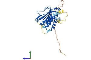 Protein Structure (PS) image for MAD2L1 Binding Protein (MAD2L1BP) (AA 1-274) protein (His tag) (ABIN7549377)