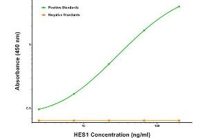 ELISA image for anti-Hes Family bHLH Transcription Factor 1 (HES1) antibody (ABIN2722654) (HES1 抗体)