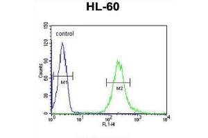 Flow Cytometry (FACS) image for anti-FK506 Binding Protein Like (FKBPL) antibody (ABIN3002248) (FKBPL 抗体)