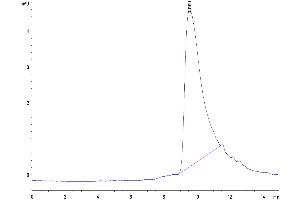 The purity of Biotinylated Mouse IL-2 is greater than 95 % as determined by SEC-HPLC.