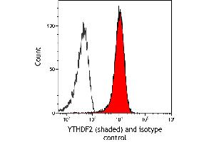 Flow Cytometry (FACS) image for anti-YTH Domain Family, Member 2 (YTHDF2) (AA 300-350) antibody (ABIN7795701) (Recombinant YTHDF2 抗体  (AA 300-350))