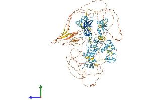 Protein Structure (PS) image for PR Domain Containing 10 (PRDM10) (AA 1-1147) protein (His tag) (ABIN7555061)