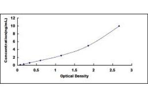 ELISA image for Platelet-Derived Growth Factor Receptor-Like (PDGFRL) ELISA Kit (ABIN433253)