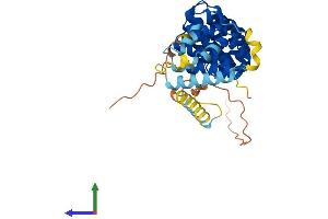 AlphaFold protein structure predicition of Mouse Recombinant Armcx3 Protein, UniprotID Q8BHS6 (ARMCX3 Protein (AA 1-379) (His tag))