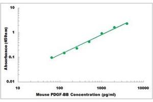 Representative Standard Curve (PDGF-BB Homodimer ELISA 试剂盒)