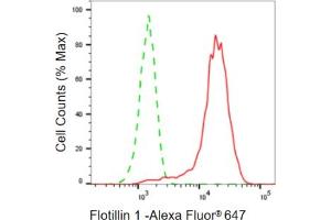 Flow cytometric analysis of Flotillin 1 expression in HepG2 cells using Flotillin 1 antibody (ABIN7798633), 1:2,000). (Recombinant Flotillin 1 抗体)