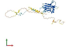 Protein Structure (PS) image for Protein Phosphatase 1, Regulatory Subunit 3B (PPP1R3B) (AA 1-284) protein (His tag) (ABIN7559180)