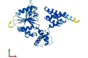Protein Structure (PS) image for Replication Factor C (Activator 1) 3, 38kDa (RFC3) (AA 1-356) protein (His tag) (ABIN7559721)