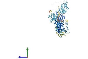 Protein Structure (PS) image for EF-Hand Domain (C-terminal) Containing 2 (EFHC2) (AA 1-750) protein (His tag) (ABIN7560974)