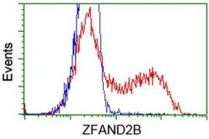 Flow Cytometry (FACS) image for anti-Zinc Finger, AN1-Type Domain 2B (ZFAND2B) antibody (ABIN1501803)