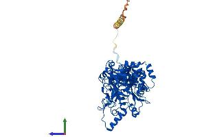 Protein Structure (PS) image for UDP-N-Acetyl-alpha-D-Galactosamine:polypeptide N-Acetylgalactosaminyltransferase 12 (GalNAc-T12) (GALNT12) (AA 1-581) protein (His tag) (ABIN7554009)