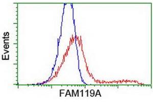 Flow Cytometry (FACS) image for anti-Family With Sequence Similarity 119A (FAM119A) antibody (ABIN1498597)