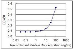 ELISA image for anti-Chymotrypsin-Like Elastase Family, Member 1 (CELA1) antibody (ABIN782309) (CELA1 抗体)