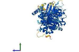 AlphaFold protein structure predicition of Mouse Recombinant Ptpn9 Protein, UniprotID O35239
